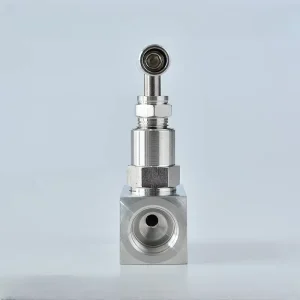 High-Pressure J13W-160P-YS Stainless Steel 304 Needle Valve DN6-DN25 T-Handle Manual Flow Control Water Body Sealing