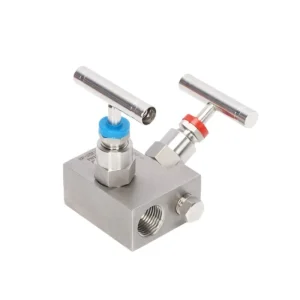 High Pressure NPT Thread 2 Way Manifold Valve Stainless Steel Instrument Valve