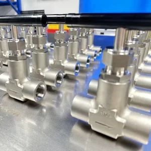 High Pressure Needle Valves with Multiple End Connections Socket Weld OD Female Power Generation Oil Gas
