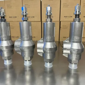 High Pressure Relief Valve 1Inch NPT MaleNPT to Female NPT Ends Designed for Long Term Service in Demanding Environments