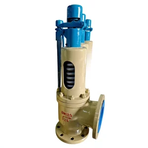 High Pressure Resistant Stainless Steel 3 Inch Flange Gas Safety Valve with 1000 Bar Max Operating Pressure
