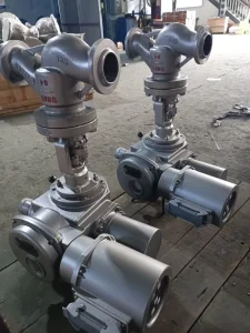 High-Pressure Stainless Steel Globe Valve 316L Class 2500 Threaded for Hydraulic Systems With Needle Disc