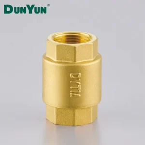 High Quality Brass Vertical Check Valve Non Return Spring Check Valve for Water Female Male Thread BSP NPT Pump