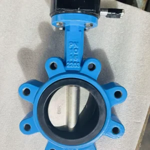 High Quality Electric Seat EPDM FKM Flap Marine Dn80 Ductile Iron Lug Butterfly Valve for Water JRVAL Brand