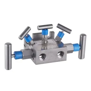 High Quality FD LOK 5D Five Valve Manifolds 2 Way Manual Power Needle Structure High Pressure Stainless Steel 316 Media