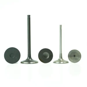 High Quality Factory Direct Sales Customizable Intake Exhaust Valve for Chery Car Model 481H 1007011BA 481H 1007012BA 1.6L