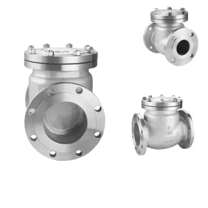 High Quality Manual 316 Stainless Steel Check Valve Water Steam Control Flange Swing Check Valve Water Spring Valve