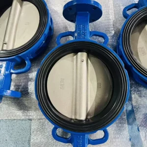 High Quality Manual PN6 PN10 PN16 JRVAL D71X Worm Gear Butterfly Valve Base ISO9001 CE Certified 2 Year Warranty Fast Delivery