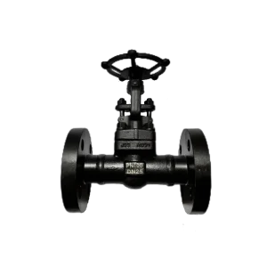 High Quality ODM OEM OBM DN50 DN600 Steel Globe Shutoff Valve Made in China by a Professional Manufacturer