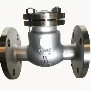 High Strength Super Duplex Stainless Steel Non Return Valve for Deepwater Subsea Projects Threaded Connection