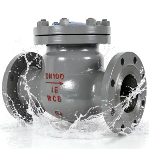 High Temperature Cast Carbon Steel Swing Check Valve WCB ANSI B16.5 Class150 Flange Swing Type One Way Check Valve