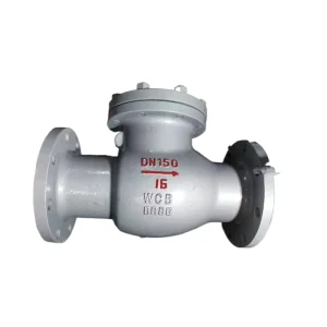 High Temperature Cast Steel Manual Check Valve Vertical Non Return Water for Drain Pipe Fittings 1.6 2.5MPa DN40 DN250