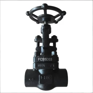 High Temperature Gate Valve A105N Forged Steel Socket Weld Threaded NPT 800LB Water Gate Valve