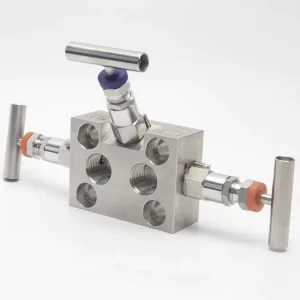 High Temperature High Pressure 6000psi Stainless Steel 304 316L Needle Valve with Three Valve Group Manifolds for Gas 1 2” Size