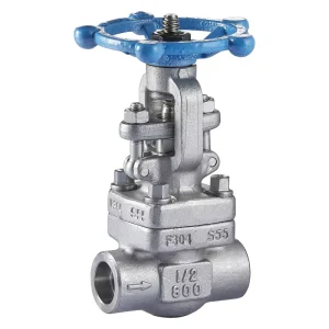 High Temperature Resistant Manual Forged Steel F304 Z11W 1 2 Inch High Pressure 800LB Socket Weld Water Gate Valve