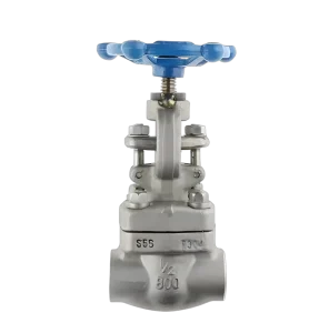 High Temperature Shut off Valve F304 Made of Forged Steel Material with Welded Sleeve and Threaded Joint NPT of High Quality