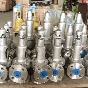 High-Temperature Stainless Steel 321 Safety Valve with Graphite Seal for Furnace Overpressure