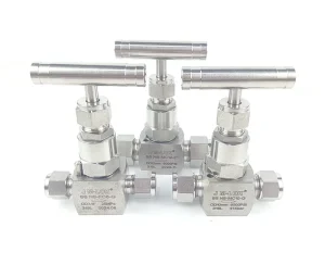High Temperature Stainless Steel Through Board Internal Thread Needle Type Globe Valve for Water Media