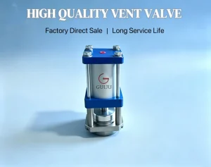 High Temperature Vent Valve for Polystyrene Foam Molding Line Spare Parts