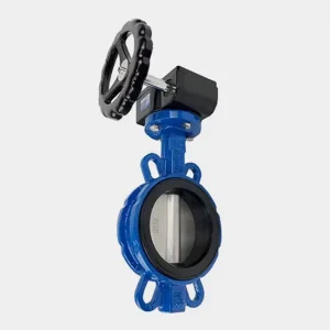 High quality Customizable Manual Worm Gear Butterfly Valve DN80 for Water Systems Normal Temperature OEM ODM Supported 18 Month