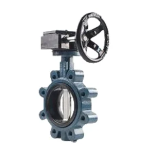 High quality Low price Manual Flanged Butterfly Valve DN50 SS304 Standard for Water Oil Gas at Normal Temperature