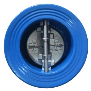 Hot Selling 4 Inch PN16 Ductile Iron Disc Dual Plate Wafer Check Valve for Water