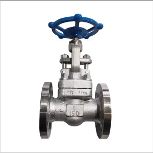 Hydraulic 3inch Port Size Gate Valve Bellow Sealed Steam Stop Valve for Water Oil Gas Acid Check Structure