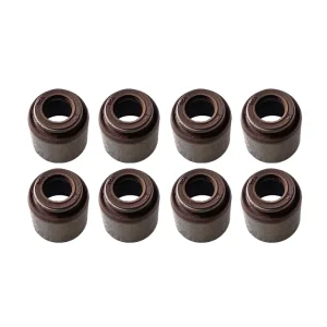 Hydraulic Cylinder Valve Oil Seal Engine Auto Part Truck Body Stem Valve