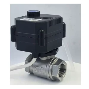 IP67 FH-S FH-MO Electric Ball Valve 1 Inch with Manual Override 12v 24v 220v Brass SS304 UPVC 2 Way Motorized Ball Valve