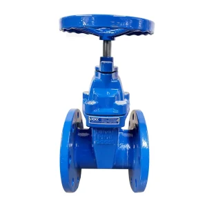 ISO CE Certified Gate Valve Flange Type with DI Body for Base Media