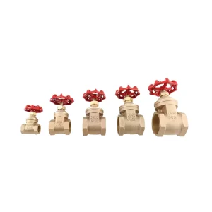 ISO9001 BMAG 1/2 Inch 3/4 Inch 1Inch 1/2-4″ Manual Gunmetal Bronze Gate Valve Customized Gate Valves Water PN16/PN20/PN25 100%