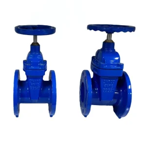 In Stock Manual Water Gate Valve Industrial Soft Sealed ASTM BS DIN ISO JIS Normal Temperature OEM