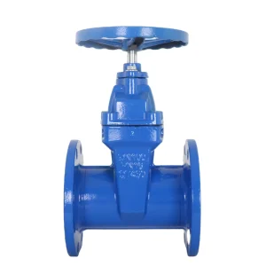 Industrial Cast Iron Gate Valves 2 Inch 4 Inch 6 Inch Resilient Wedge Iron Soft Sealed Non Rising Stem