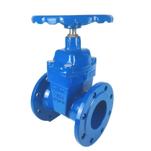 Industrial Cast Iron Sluice Rising Flanged Water Gate Valve 4 Inch 6 Inch 8 Inch PN16