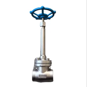 Industrial Globe Valve for Low-Temperature Gas Applications Manual Socket-Welding Structure