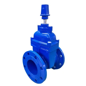 Industrial Grade Durable ODM OEM OBM Ductile Iron Non rising square Cap Elastic Seated Gate Valve for Water