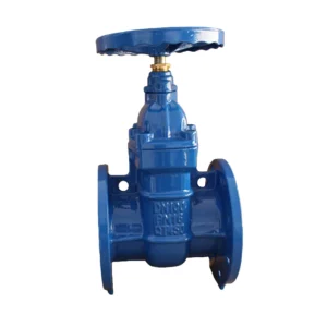 Industrial Hard Seal Water Gate Valve (DN50) Manual Operated Non-Rising Stem DETONG Brand Overseas Procurement