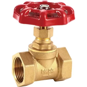 Industrial NPT BSPP Brass Thread End Gate Valve for Water Non corrosive Liquid
