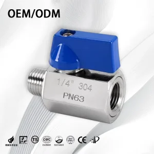 Industrial Stainless Steel OEM SS316/SS304 Mini Ball Valve Manual PN63 Female Male
