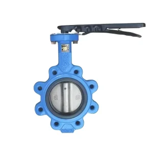 Industrial Worm Gear Operated Double Flange Butterfly Valve PN16 Epoxy Coated Ductile Iron Body SS304 Disc for HVAC Systems