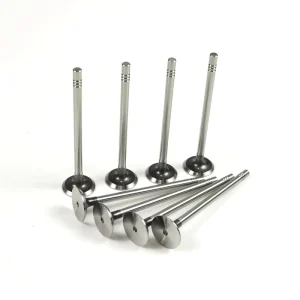 Intake & Exhaust Valves Valve Tappets for Audi VW SEAT Skoda 1.2 TSI FAW Suzuki Daewoo