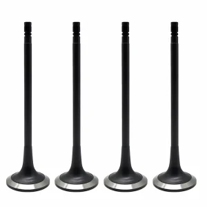 Intake and Exhaust Valves 37504-30200 37504-30201 for S6R Engine OEM Custom Fit Spare Parts