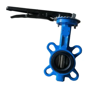 Interlocking Worm Gear Transmission Soft Sealing Butterfly Valve for Water Control Turbine Flange Design