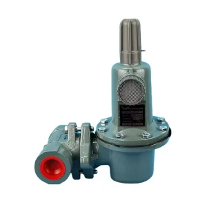 Intermediate Gas Pressure Reducing Valve 627-1217-29858 for Natural Gas 1 in Port 100-500 Nm3/h Flow