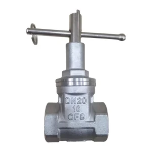 Internal Thread 304 Mechanical Lock Gate Valve Stainless Steel Hard Seal Triangle Lock Wire Port Gate Valve