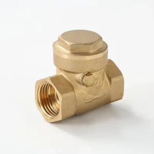 Internal Thread Brass Swing Check Valve 1/2 Long Service Life Apply in Water or Gas System