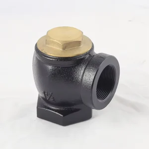 Internal Thread NPT Pipeline Cast Iron Angle Check Valve