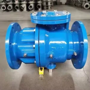 Iron Low Resistance Check Backflow Preventer Air Break Anti-Pollution Isolation Valve Water Supply Pipeline Anti Contamination 4