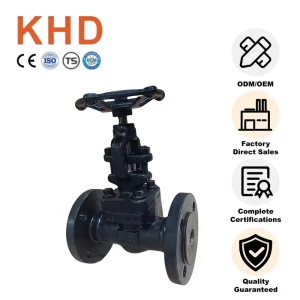 J41H-16C DN25 WCB Gate Valve Manual Stop Structure Forged Steel for High Pressure Steam A105N