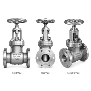 J41W 16R 316L Heavy Body Stainless Steel Globe Valve CF3M PN16 Flange Valve Equivalent to ANSI Class 150 Valves